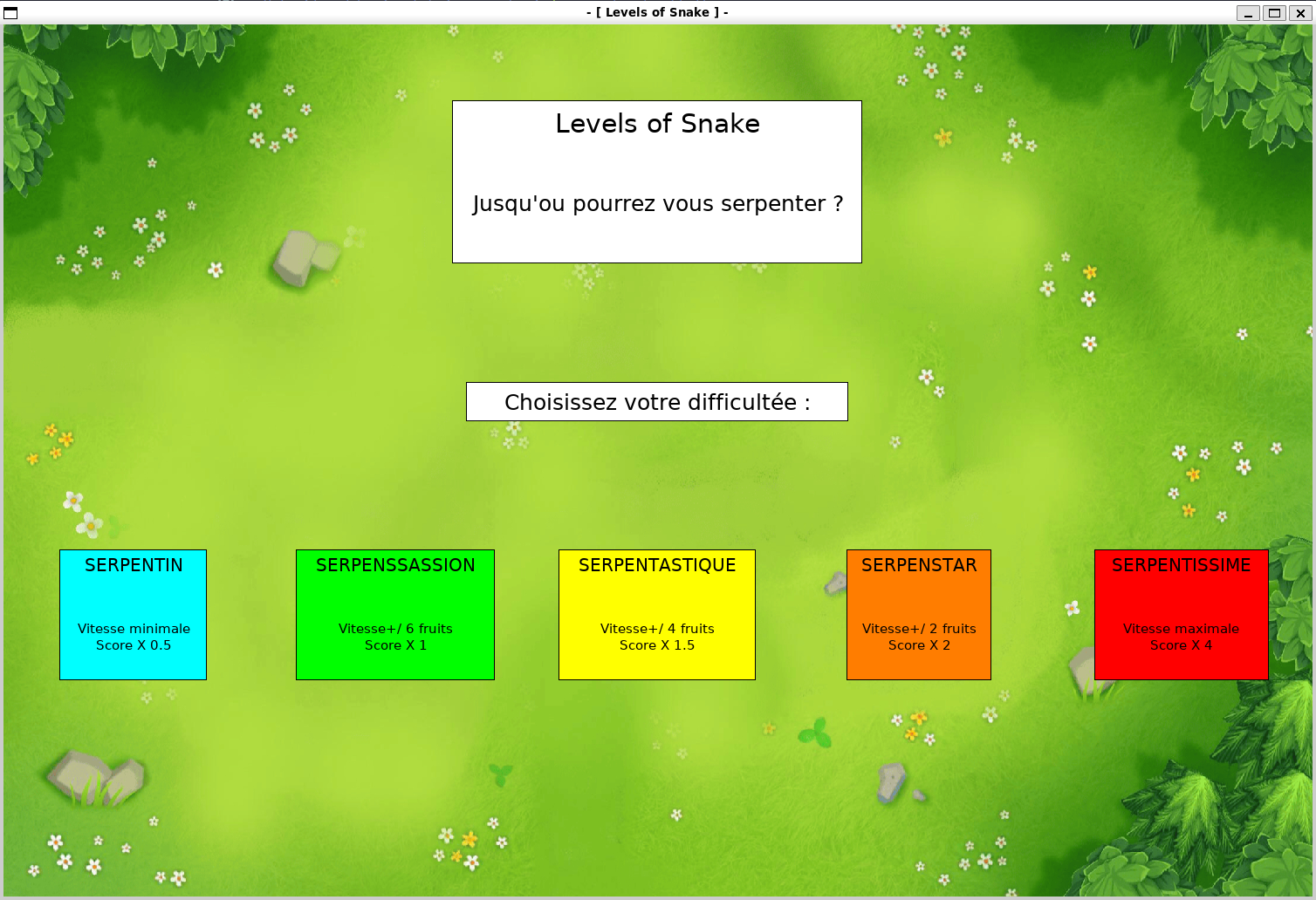Image Projet Levels Of Snake